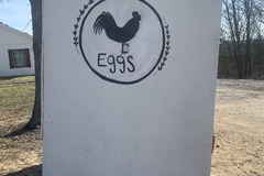 Selling with In-person Payment: Farm Fresh, Free Range Chicken Eggs
