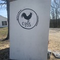 Selling with In-person Payment: Farm Fresh, Free Range Chicken Eggs