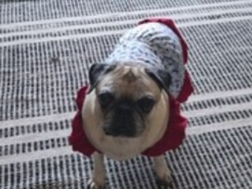   : Lola