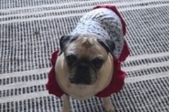   : Lola