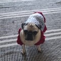   : Lola