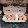Selling with In-person Payment: Farm Fresh Eggs 
