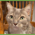  : Veruca