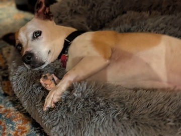   : Nutmeg