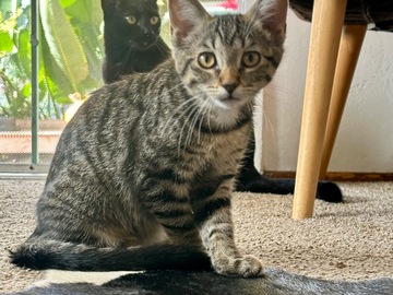   : Benji