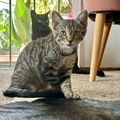   : Benji