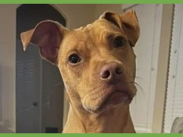  : Gracie