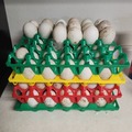 Selling with In-person Payment: Duck eggs!!!