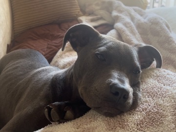   : Jax