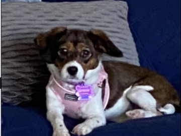  : Gracie 