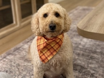   : Charlie