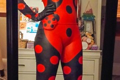 Selling with online payment: Shadybug Miraculous Costume+Wig [M]
