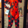 Selling with online payment: Shadybug Miraculous Costume+Wig [M]