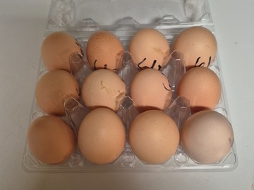 Selling with In-person Payment: Brown eggs