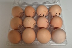 Selling with In-person Payment: Brown eggs