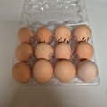 Selling with In-person Payment: Brown eggs