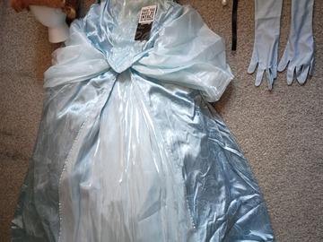 Selling with online payment: Cinderella Costume+Wig [M]