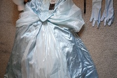 Selling with online payment: Cinderella Costume+Wig [M]