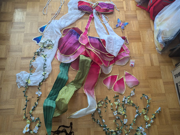 Selling with online payment: Maki Nikishino Fairy