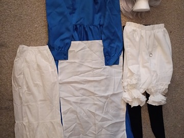 Selling with online payment: Sophie Howl's Moving Castle Costume+Wig [M]