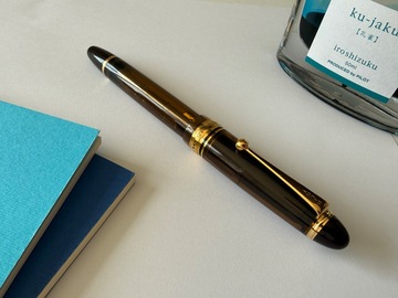 Renting out: Pilot Custom 823 (B)