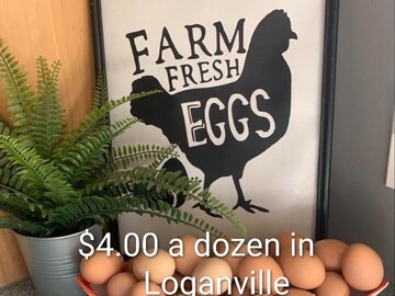 Selling with In-person Payment: Farm Fresh Free Range Chicken Eggs