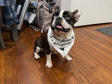   : Rambo