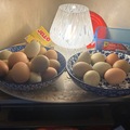 Selling with In-person Payment: Mixed Chicken Eggs Organic