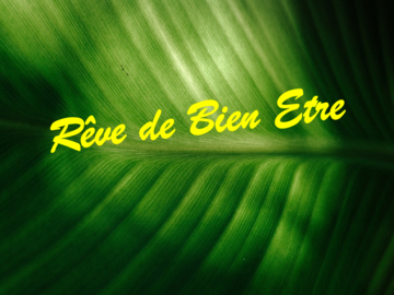 Offre: L'ART DU MASSAGE