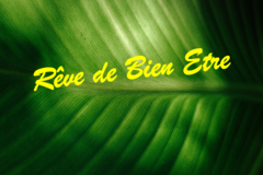 Offre: L'ART DU MASSAGE