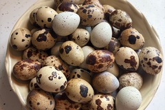 Selling with In-person Payment: Fresh quail eggs
