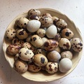 Selling with In-person Payment: Fresh quail eggs