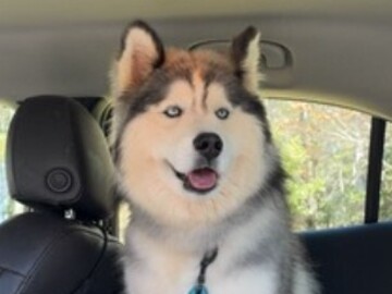   : Gunner