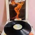 Selling: Des vinyls de Pink Floyd