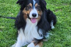   : Darby