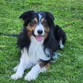   : Darby