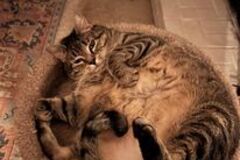   : Sophie and Charlie