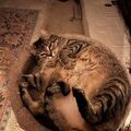   : Sophie and Charlie