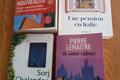 Vente: Lot de 4 romans récents 