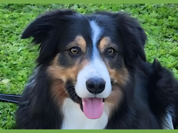  : Darby