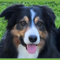  : Darby