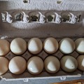 Selling with In-person Payment: Free Range Eggs