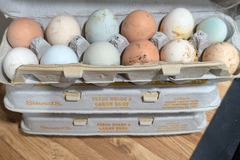 Selling with In-person Payment: Free Range Eggs
