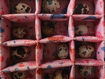 Selling with In-person Payment: Aviary Raised Quail Eggs 