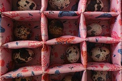 Selling with In-person Payment: Aviary Raised Quail Eggs 