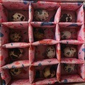 Selling with In-person Payment: Aviary Raised Quail Eggs 