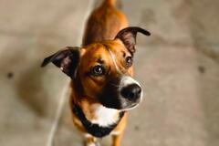   : Barkely