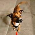   : Barkely