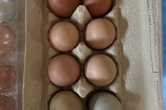 Selling with In-person Payment: Fresh eggs from happy hens❤️