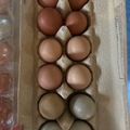 Selling with In-person Payment: Fresh eggs from happy hens❤️